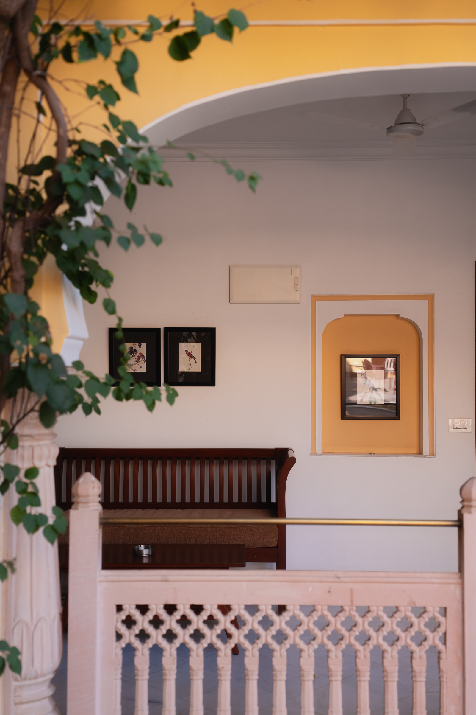 Image from Akhila Anand